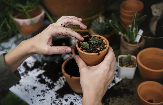 Jardinería